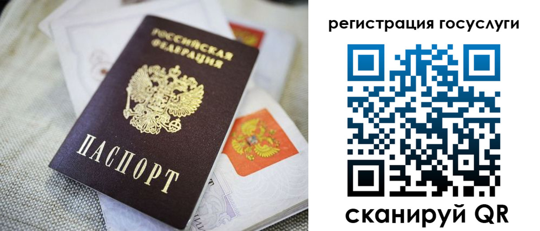 прописка гарантия в Выксе